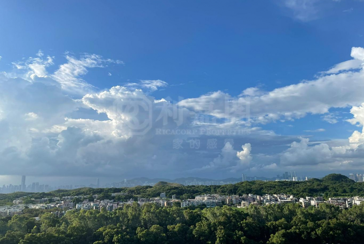 WETLAND SEASONS BAY 2期 1A座 - 28NTS – 香港北部都會區