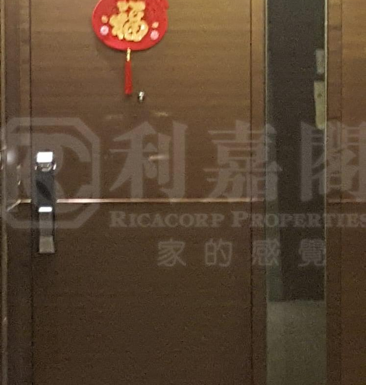 尚悅 13座 - 28NTS – 香港北部都會區