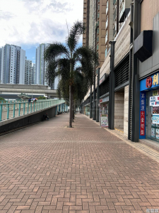 17611363666f503c15-3cae-47f5-bbd0-27aee0e5669e.jpeg 世宙 1座 - 28NTS – 香港北部都會區