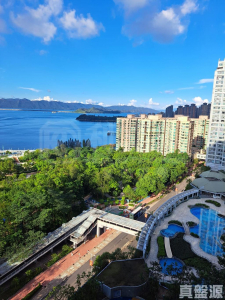 176114004717f27d1e-e391-49ef-8108-4f8c1064fd48.jpeg 海柏花園 6座 - 28NTS – 香港北部都會區