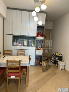 天鑽 1座 - 28NTS – 香港北部都會區