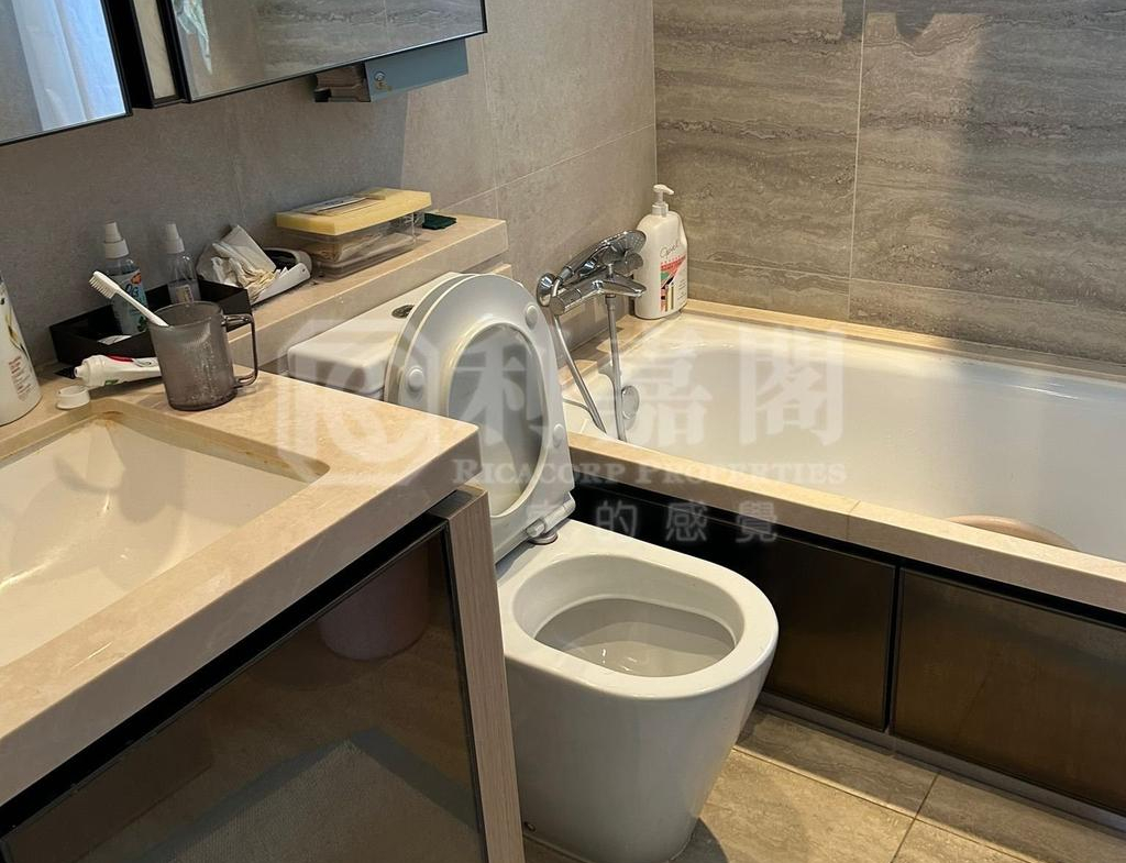 天鑽 1座 - 28NTS – 香港北部都會區