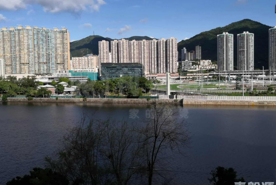 碧濤花園 1期 金蘭閣 (3座) - 28NTS – 香港北部都會區