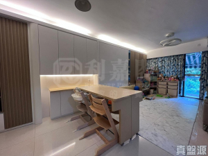 聚龍居 7座 - 28NTS – 香港北部都會區