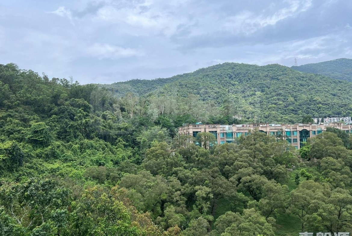 天鑽 10座 - 28NTS – 香港北部都會區