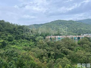 天鑽 10座 - 28NTS – 香港北部都會區