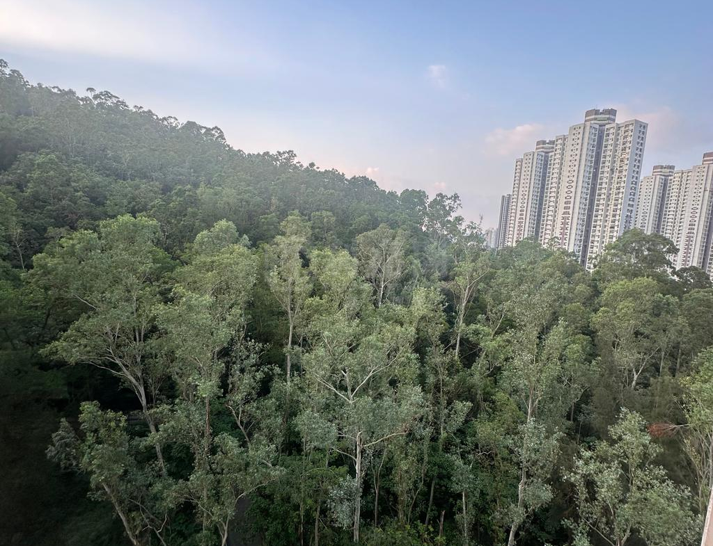 昌盛苑 昌濤閣 (C座) - 28NTS – 香港北部都會區