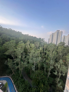 昌盛苑 昌濤閣 (C座) - 28NTS – 香港北部都會區