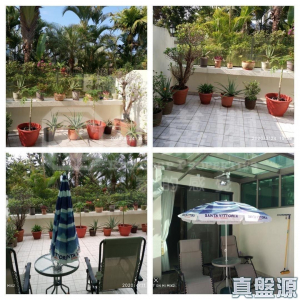 倚龍山莊 12座 - 28NTS – 香港北部都會區