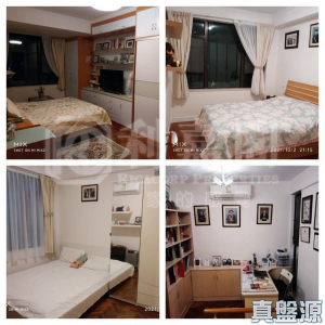 倚龍山莊 12座 - 28NTS – 香港北部都會區