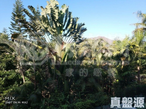 倚龍山莊 12座 - 28NTS – 香港北部都會區