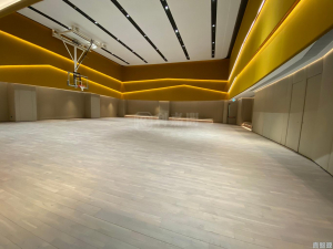 天鑽 9座 - 28NTS – 香港北部都會區