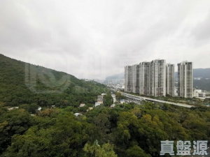 樂林園 C座 - 28NTS – 香港北部都會區