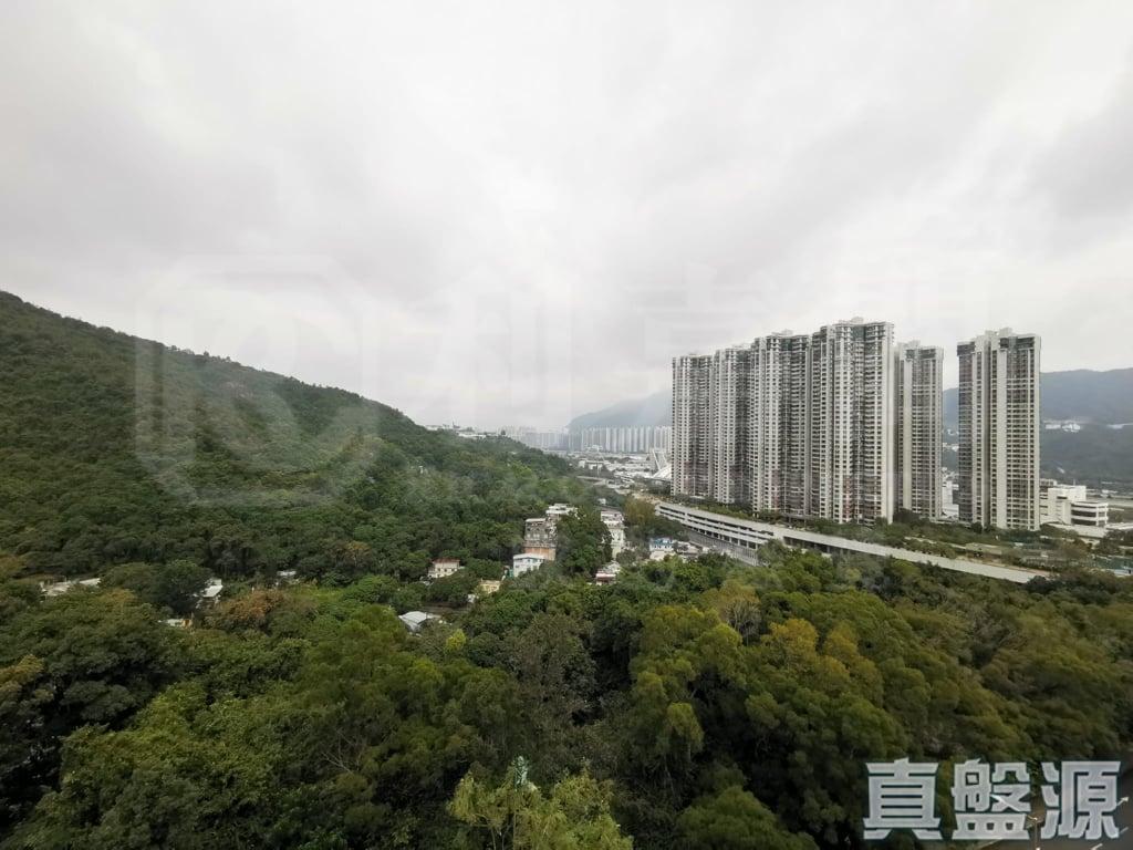 樂林園 C座 - 28NTS – 香港北部都會區