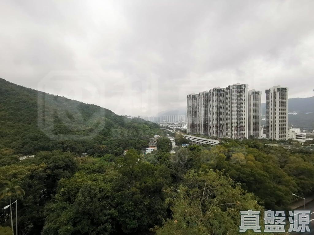 樂林園 C座 - 28NTS – 香港北部都會區