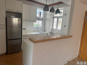 樂林園 C座 - 28NTS – 香港北部都會區