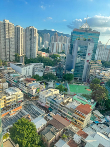 1761168374921b1f93-6530-46fc-9293-b36b3476b7bc.jpeg 海禧華庭 2座 - 28NTS – 香港北部都會區