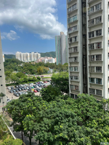 大埔中心 6期 14座 - 28NTS – 香港北部都會區