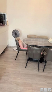 翠彤苑 9座 - 28NTS – 香港北部都會區