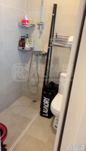 翠彤苑 9座 - 28NTS – 香港北部都會區