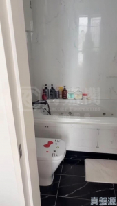 翠彤苑 9座 - 28NTS – 香港北部都會區