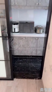 翠彤苑 9座 - 28NTS – 香港北部都會區