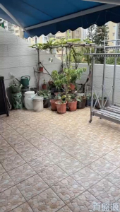 翠彤苑 9座 - 28NTS – 香港北部都會區