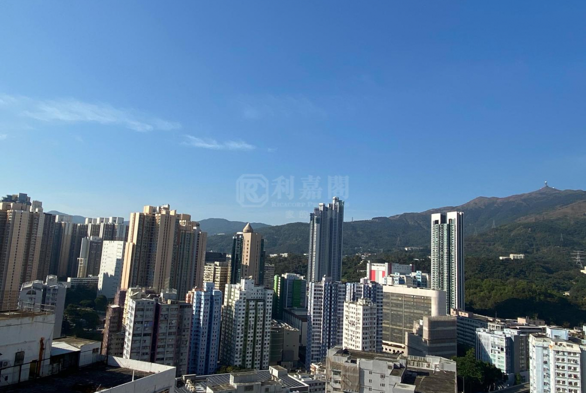 葵星中心 B座 - 28NTS – 香港北部都會區