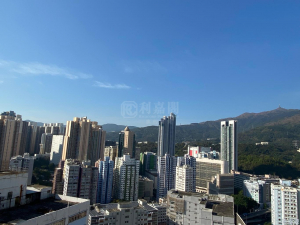 葵星中心 B座 - 28NTS – 香港北部都會區