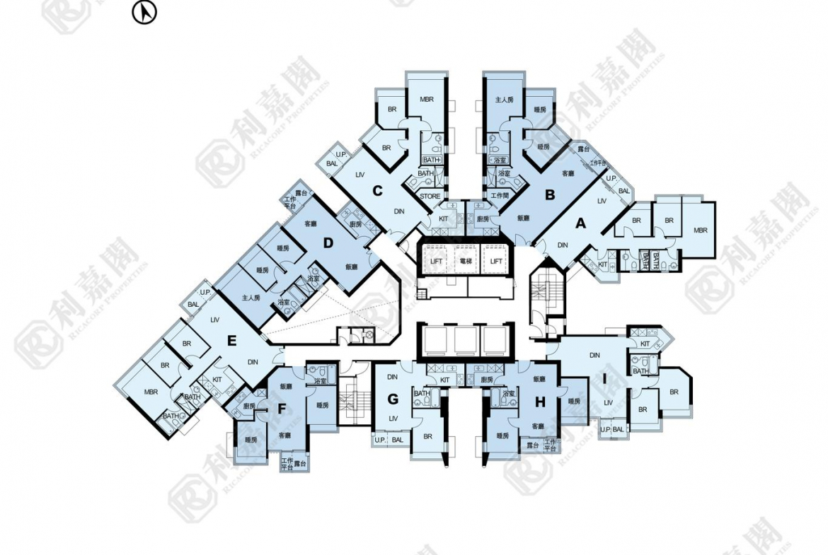 藍天海岸 3期 影岸‧紅 B座 (8座) - 28NTS – 香港北部都會區