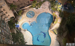 龍成花園 2座 - 28NTS – 香港北部都會區