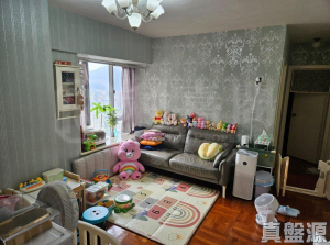 景新臺 1座 - 28NTS – 香港北部都會區