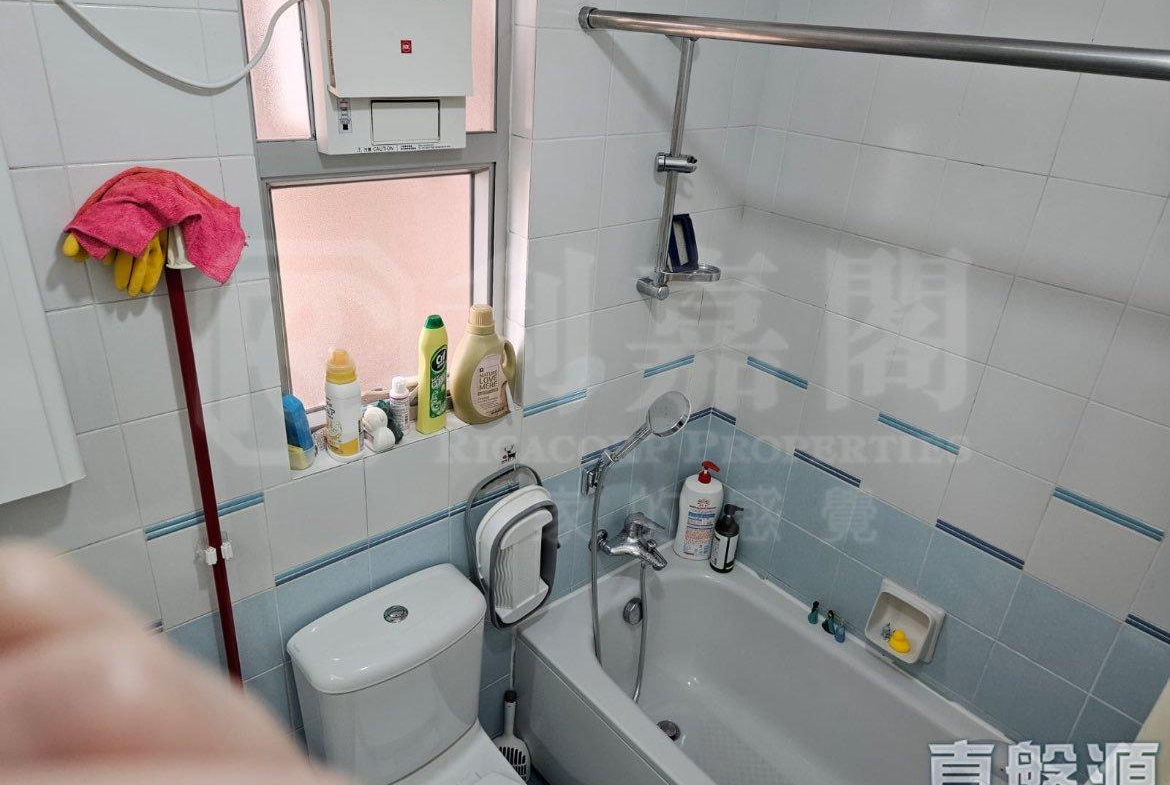 景新臺 1座 - 28NTS – 香港北部都會區