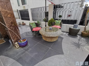 蟠龍半島 - 28NTS – 香港北部都會區