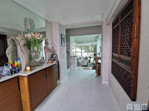 蟠龍半島 - 28NTS – 香港北部都會區