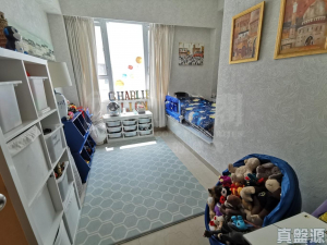 蟠龍半島 - 28NTS – 香港北部都會區