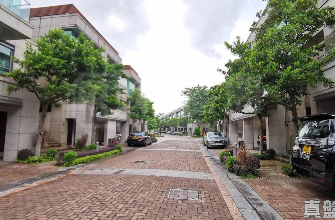 葡萄園 1期 - 28NTS – 香港北部都會區