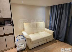 弦海 - 28NTS – 香港北部都會區