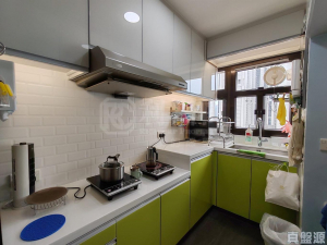 祈德尊新邨 A座 - 28NTS – 香港北部都會區