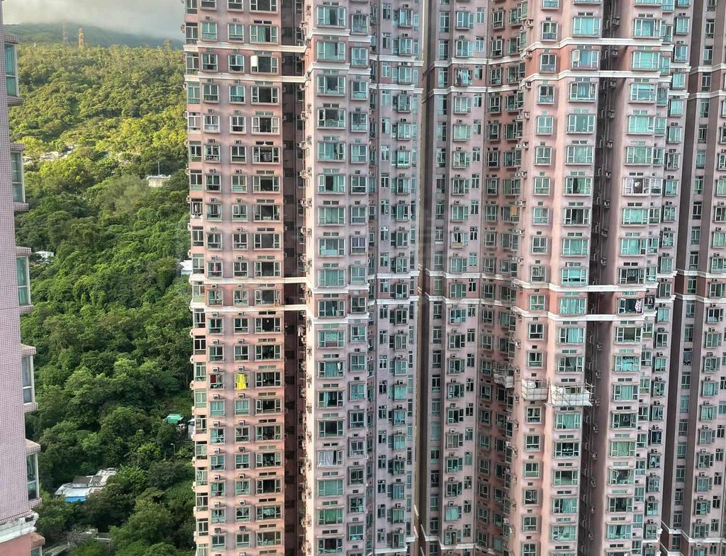 愉景新城 1期 2座 - 28NTS – 香港北部都會區