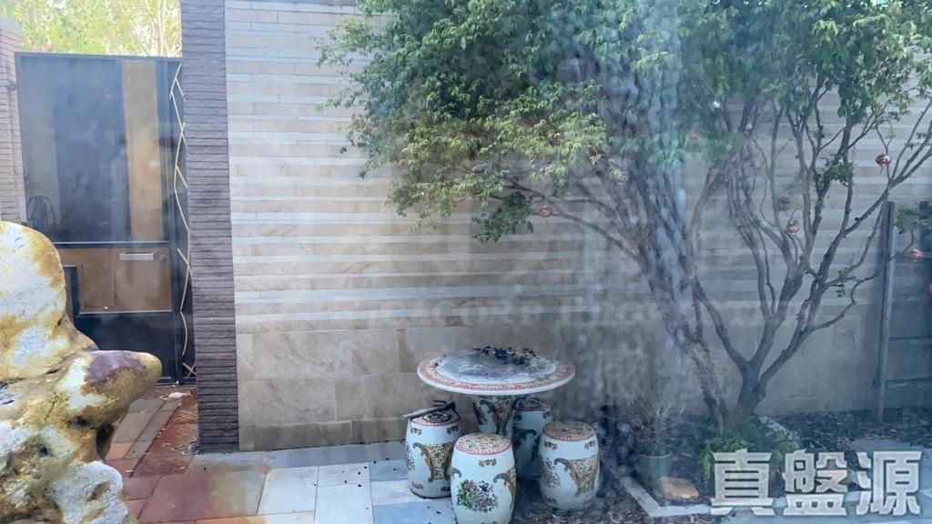 娉廷 - 28NTS – 香港北部都會區