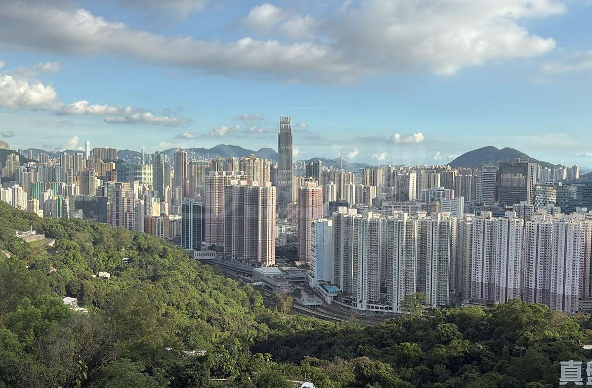 寶雲匯 2座 - 28NTS – 香港北部都會區