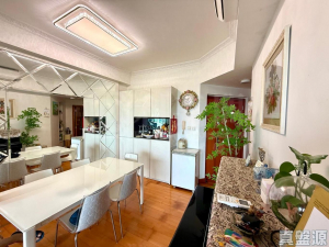 寶雲匯 2座 - 28NTS – 香港北部都會區