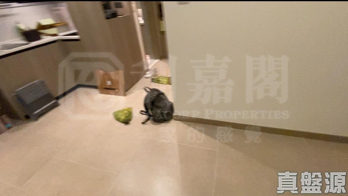 WETLAND SEASONS BAY 2期 1B座 - 28NTS – 香港北部都會區