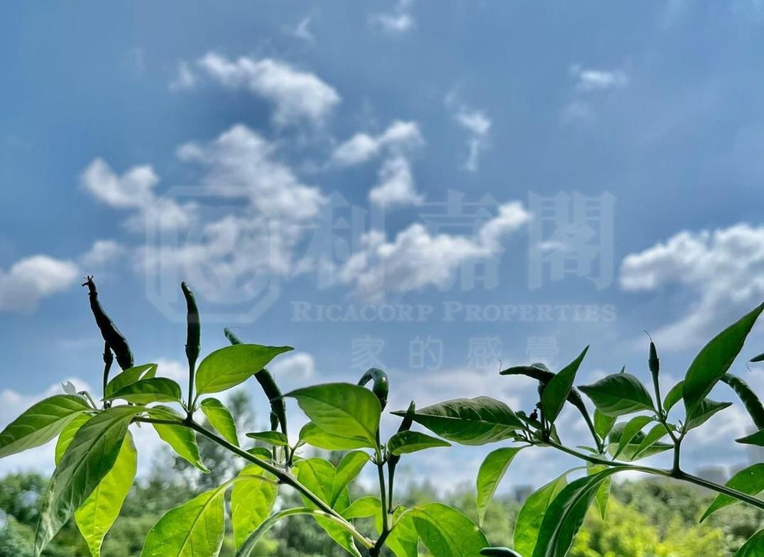 WETLAND SEASONS BAY 1期 別墅WV6 - 28NTS – 香港北部都會區