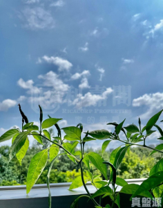 WETLAND SEASONS BAY 1期 別墅WV6 - 28NTS – 香港北部都會區