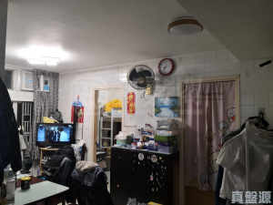 1762002860b2993230-a67d-4195-9a4a-88ef27b8f7b7.jpeg 青華苑 華璇閣 (B座) - 28NTS – 香港北部都會區