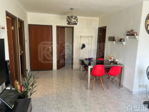 水蕉老圍 - 28NTS – 香港北部都會區