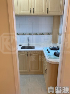 荃灣中心 瀋陽樓 (19座) - 28NTS – 香港北部都會區