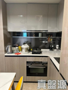 17620135389d23bb55-dc6b-4dce-b12f-7636d88f0241.jpeg WETLAND SEASONS PARK 2期 18座 - 28NTS – 香港北部都會區